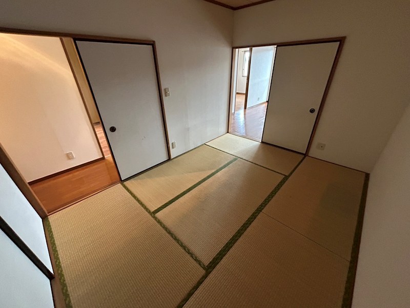 ラフィーヌ・フォレ その他11