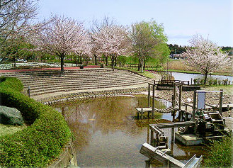 柏グリーンハイツG棟 周辺画像3