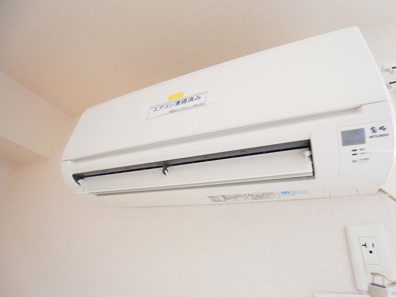 カームベリーA その他5