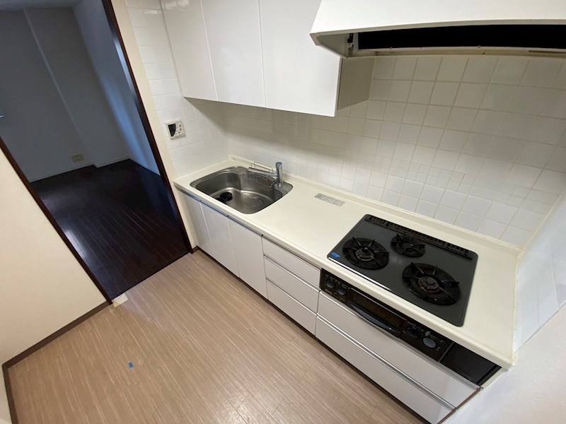 カスタリア荒川 その他13