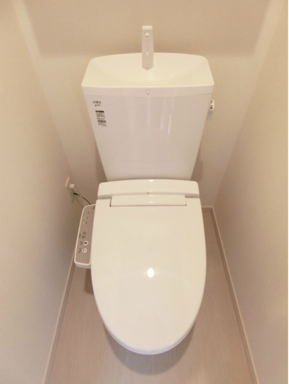 リブリ・レナトゥス その他1