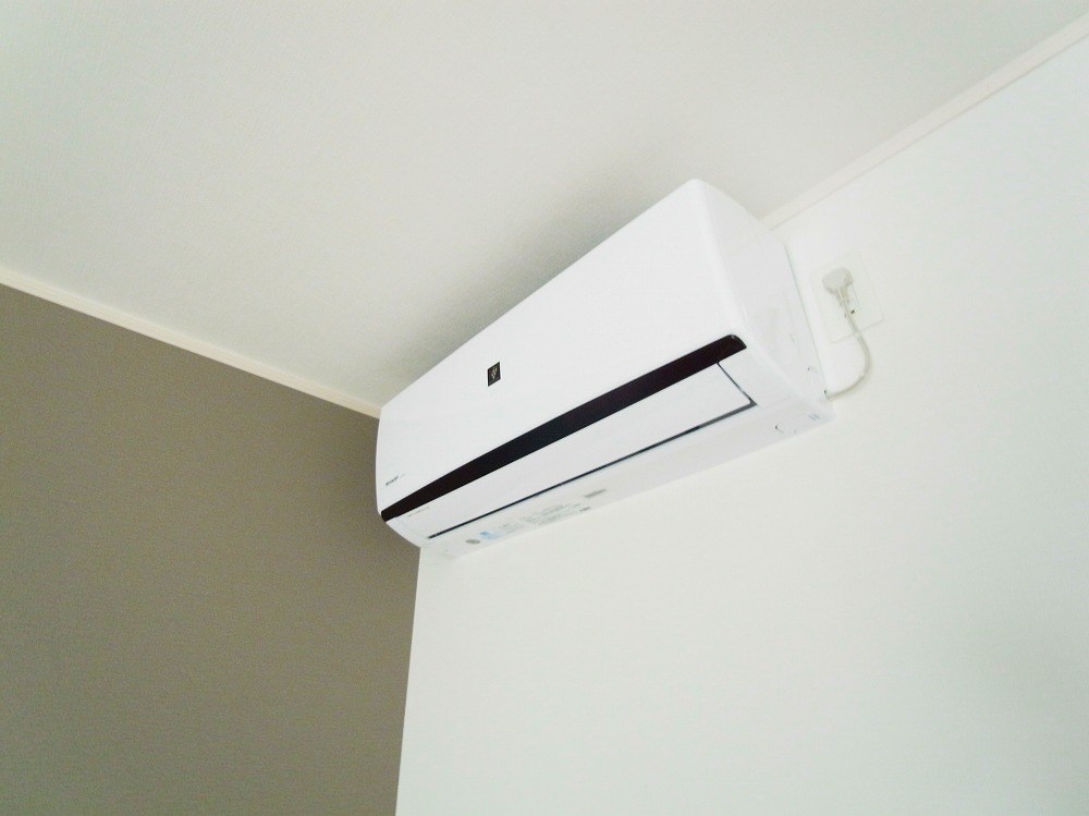 Ｅ　ｇａｒｄｅｎ その他6