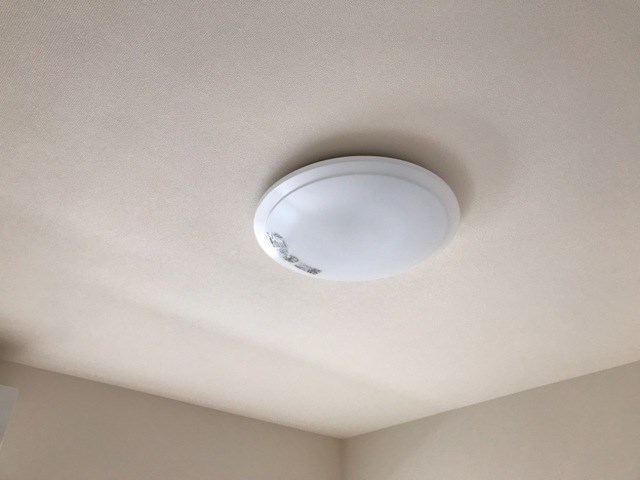 Ｓｈａｎｇｒｉ-Ｌａ　-シャングリラ- その他14