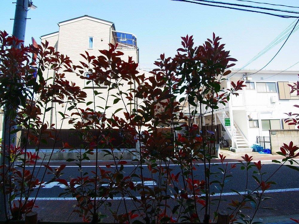 ベルシード北綾瀬  その他16