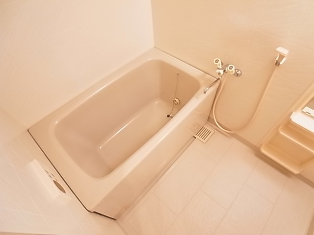 白井ロジュマン 風呂画像