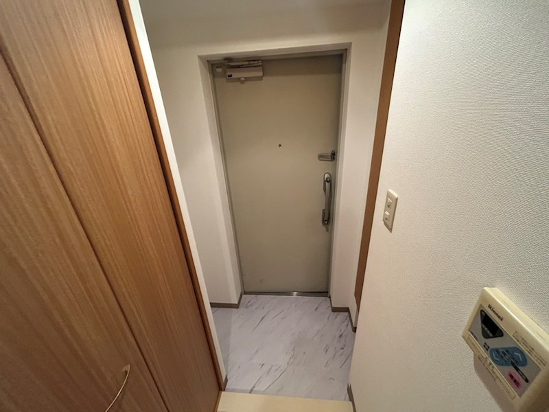 ソレアード新柏 玄関