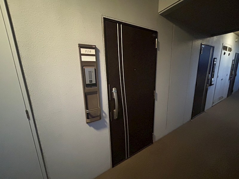 ソレアード新柏 その他7