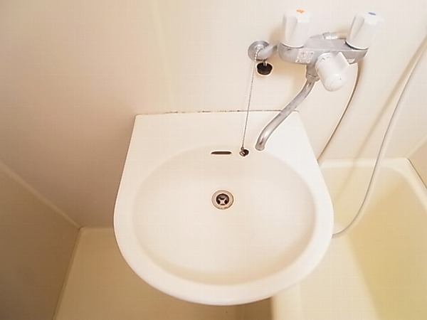 ザ・グリーンマンション その他2