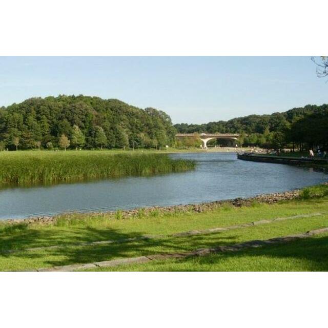 ＨａｌｅＬｉｎｏ八ヶ崎 周辺画像6