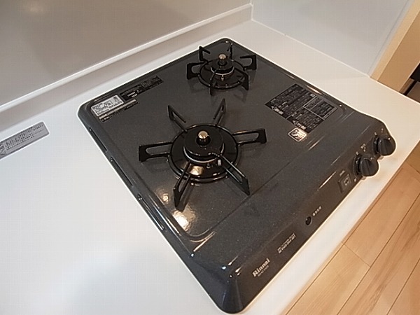 エルスタンザ柏東上町 その他9