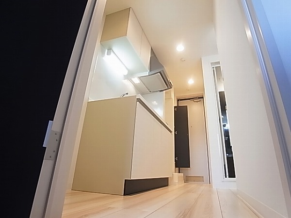 エルスタンザ柏東上町 リビング