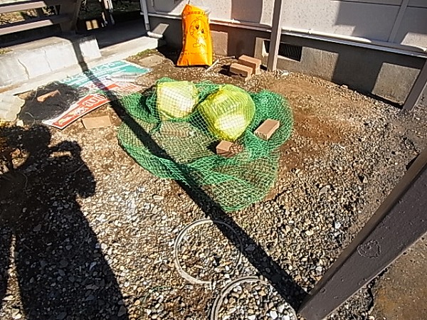 エスポワール高田 その他外観6