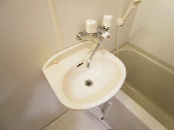 アムールグリーンビレッジⅢ その他2