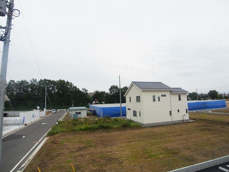 アムール橘 その他5