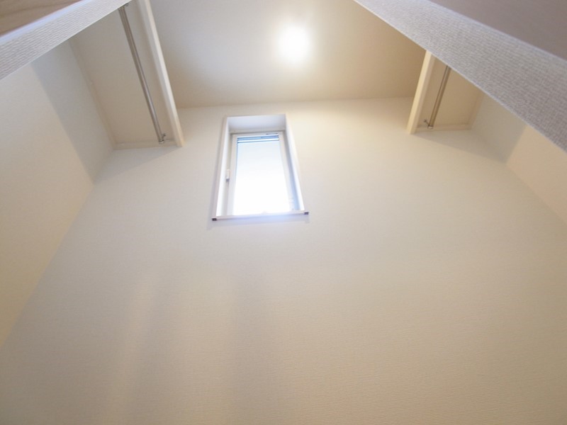 アムール橘 その他12