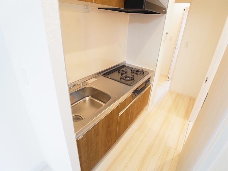 アムール橘 その他20