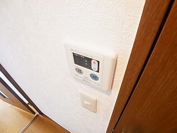 アムールＡＭＩＣＡＬ その他