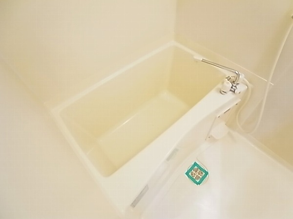 アムールＡＭＩＣＡＬ その他