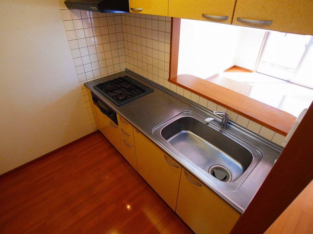 フォルティーヌ皿沼 その他12