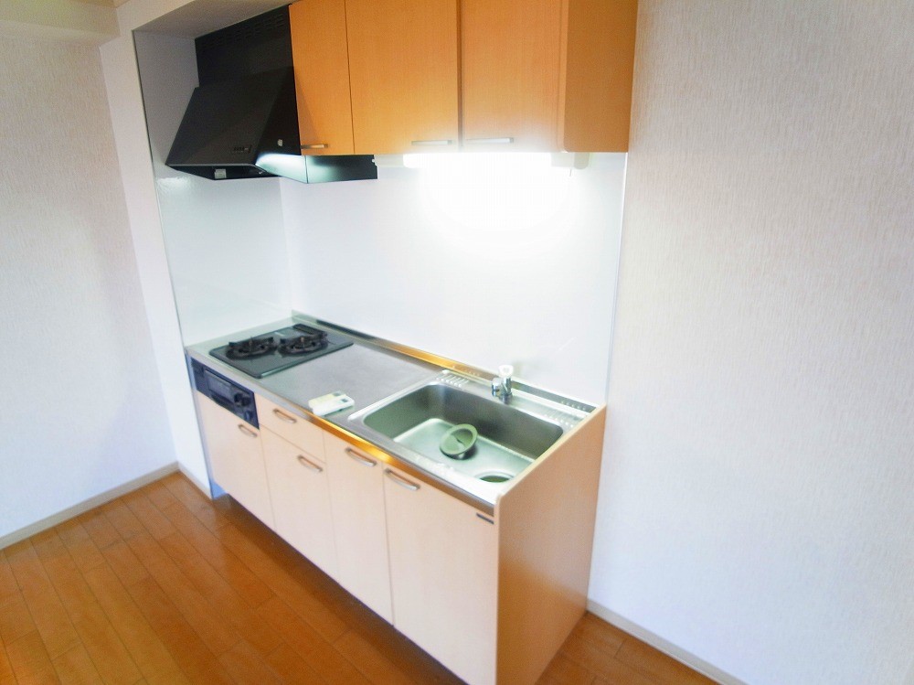 竹の塚ローヤルコーポ その他12