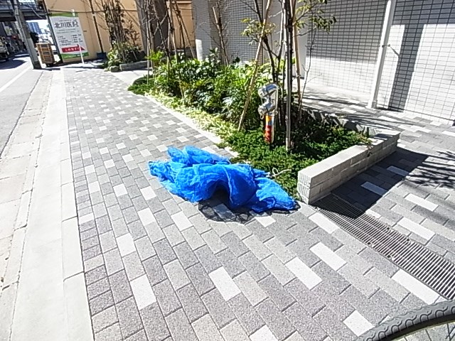 ベルグレードＳＫ　ＤＵＥ その他外観4