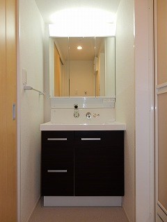 スウィート　パピヨン その他2