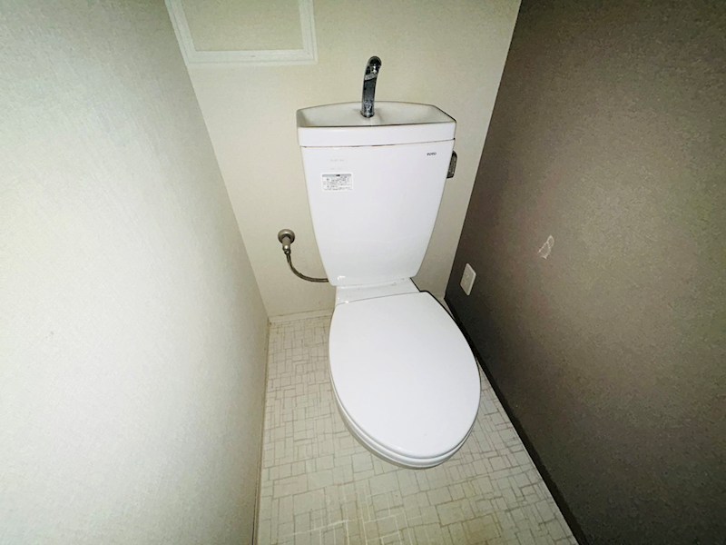 ボワ・デ・コガネ その他1