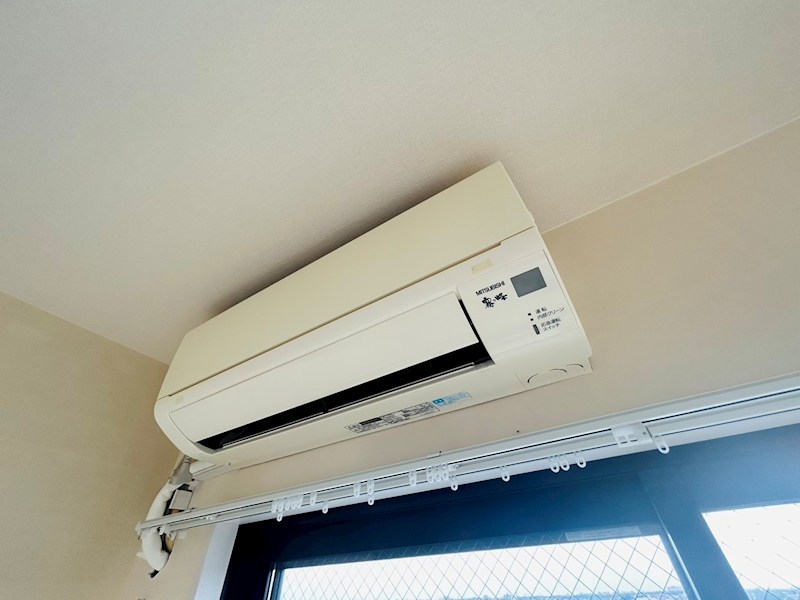 ボワ・デ・コガネ その他5