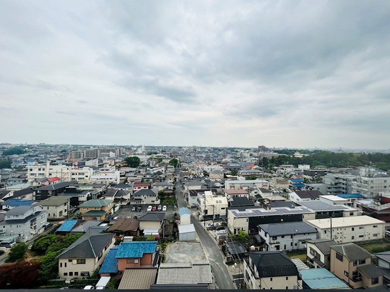 ボワ・デ・コガネ その他6