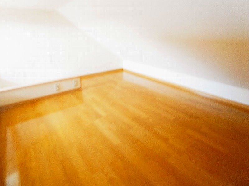 Ｍｅｓｏｎ　ｄｅ　Ａｄｅｌｉａｅ その他10