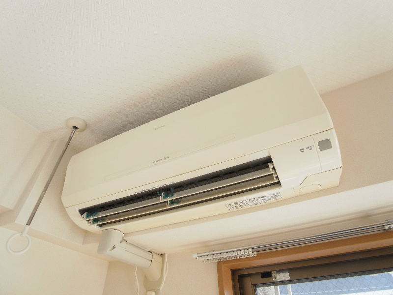 Fortis Mea その他6