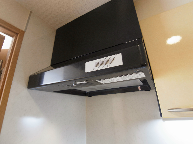 Fortis Mea その他11