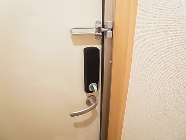 レイストリーフ その他11