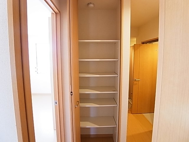 レイストリーフ その他14