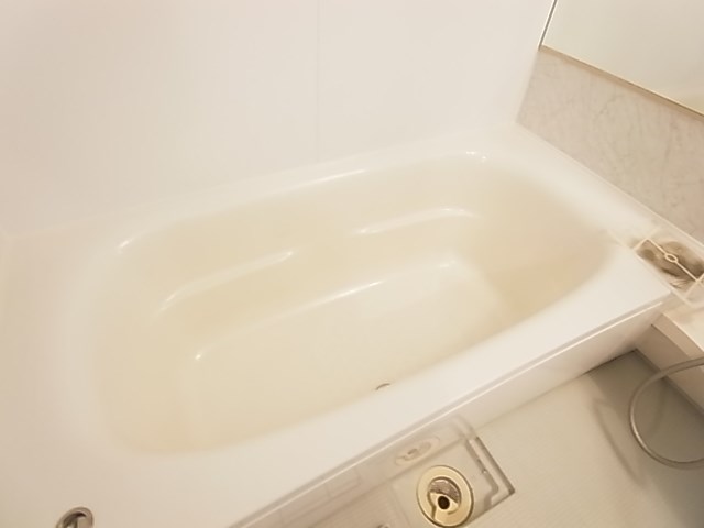 レイストリーフ その他25