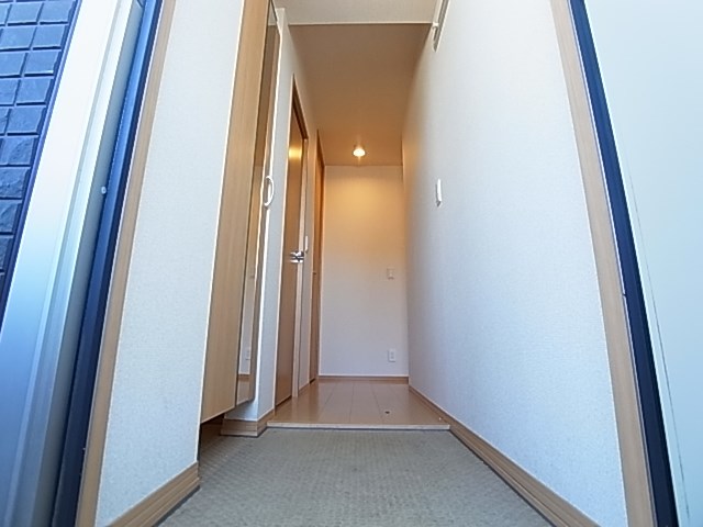 レイストリーフ その他10