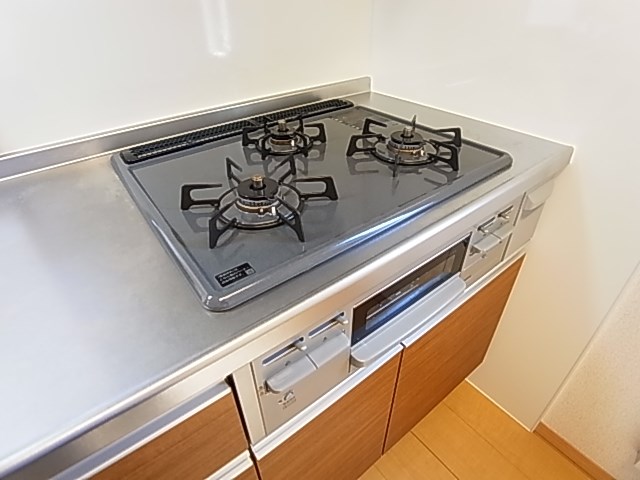 レイストリーフ その他17