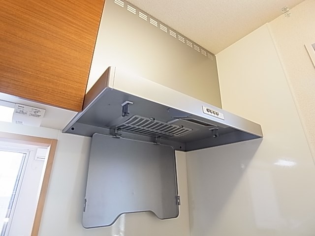 レイストリーフ その他18