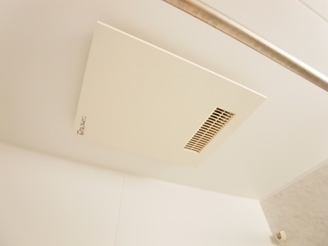 レイストリーフ その他27