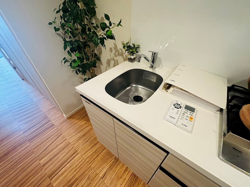 ジェノヴィア五反野スカイガーデン その他10