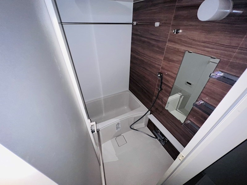 Vega Sanwa その他10