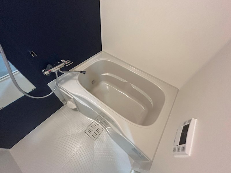 シュバーンⅡ その他29