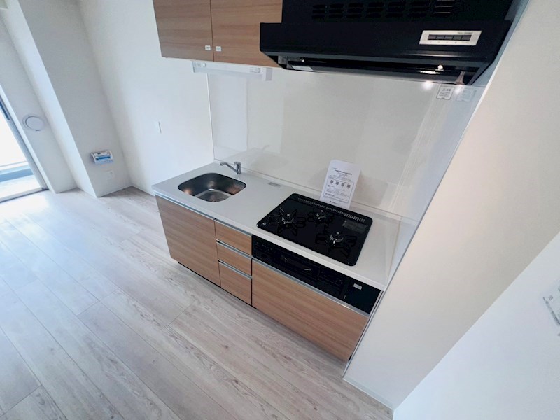 Vega Sanwa その他15