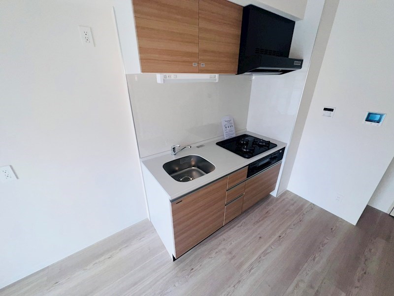 Vega Sanwa その他17