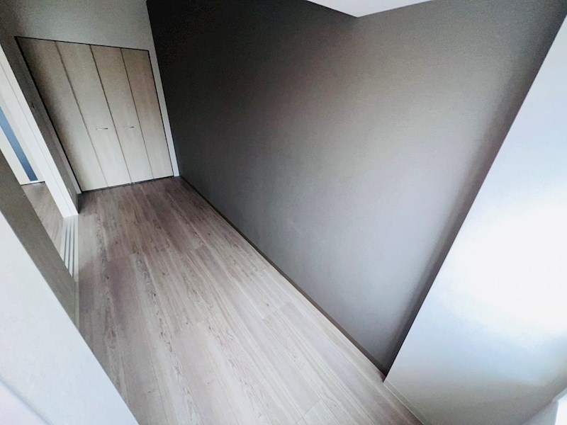 Vega Sanwa その他28