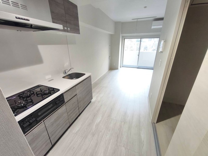 ARCOBALENO DAISHIMAE その他14