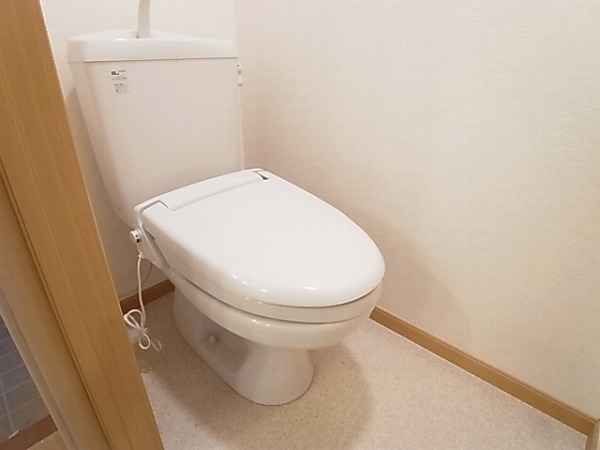 アレグラール その他1