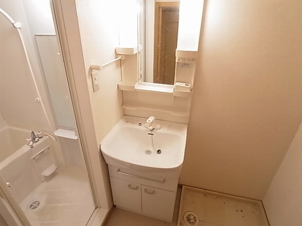 アレグラール その他2