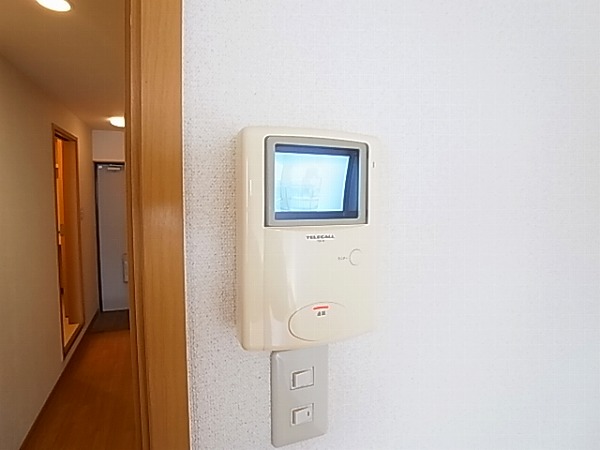 アレグラール その他4