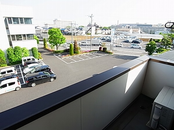 アレグラール その他5